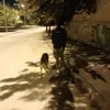 alejandroestebang96