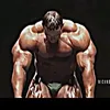 vrabo00
