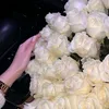 zanb200__