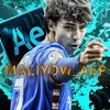 maleo27