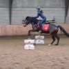 horsie_spam_with_me