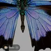 user7965567008861