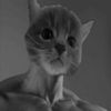 garfield_as4