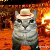 lisboapps