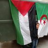 mahdiali697