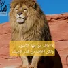 9alheba