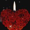 abood82408