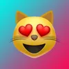 tiktok_cat_vids