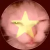 conmelzotrinhatthegioi_