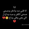 habeba.mostafa81