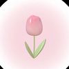 blossomluluxc