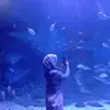 vifnna