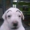 xxbrocitoxx