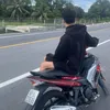 baotuong83
