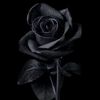 muhamadsajili_7