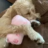 tinypuppypals