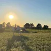 maja_1.3