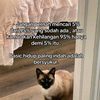 meloww65