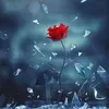 lxiad