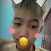 meo_xinh331
