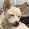 tasudu0