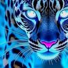 hindo_1212