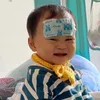 bo.linh533