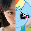 lvsdashie