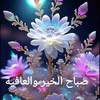 user1120558608442