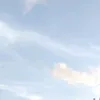 miu.miu556
