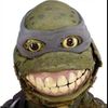 mrjanidude572