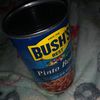 bushbeans3