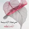 user811358610062