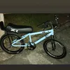 otavioeduardo55