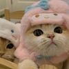 cutie_cutecore