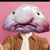 dkdkfkgk1