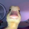 nicolasnmeth