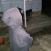rizky_see