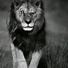 user9465100914949