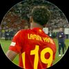 rs_y29