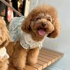 fashiongirls0119