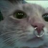 th4islolz