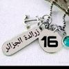 mhamed.belmadi