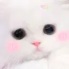thanhlin49