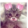 katherine_13569