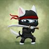 ninjakat_5