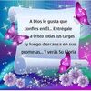 denis.bosier