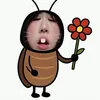 sunn.hay.hat_