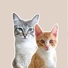 gigixmeow
