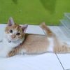 cilla3572